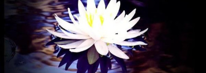 Omnia Crystalline от Bvlgari