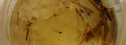 Борьба с "усталостью" ногтей - проверенные средства по уходу за ногтями и кутикулой (Belweder & Dnc) и один неудачник  - Умная эмаль и еще кое-что