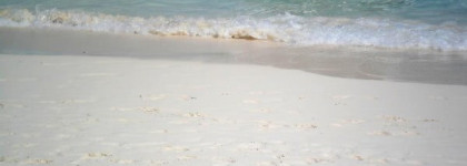 Пост для любителей лаков Baby Blue и моя ностальгия по знойному лету (Лак для ногтей Sophin #53)