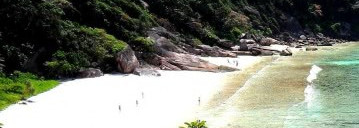 Пост для любителей лаков Baby Blue и моя ностальгия по знойному лету (Лак для ногтей Sophin #53)