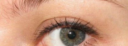 Гелевая подводка Bobbi Brown Long-Wear Gel Eyeliner и кисти для нанесения