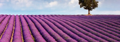 Louis Feraud - Eau Des Sens,или моя ароматерапия