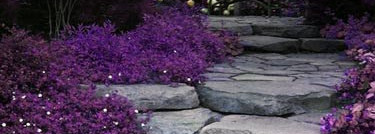 Louis Feraud - Eau Des Sens,или моя ароматерапия