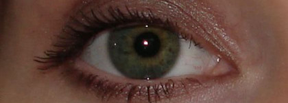 MAC eye shadow  Club и Satin Taupe