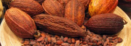 The Body Shop Cocoa Butter Body Butter – Крем-масло «Какао»