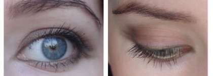 Нюд с Dior, но без Incognito :) или 5-ка теней Dior 673 Earth tones