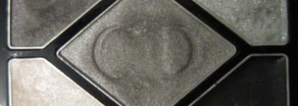 Dior 5 Couleurs Designer # 008  "Smoky Design"