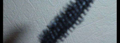 Pupalash Mascara Energizer - может ли тушь стимулировать рост ресниц?