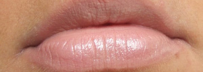 Shiseido Perfect Rouge ВЕ109 Spiced Cream-пряные сливки на губах