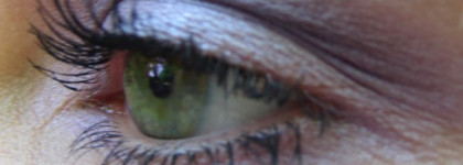 Shiseido Luminizing Satin Eye Color Trio VI 308