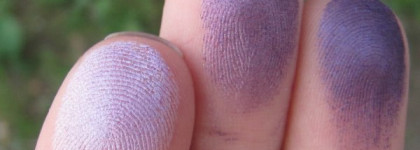 Shiseido Luminizing Satin Eye Color Trio VI 308