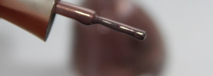 Осенняя нежность с Golden Rose Paris в оттенке 226