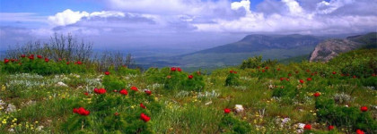 Моя новая любовь :Issey Miyake L’eau d’Issey