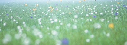 Моя новая любовь :Issey Miyake L’eau d’Issey