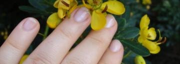 Мои нюдовые (и не очень) лаковые новинки