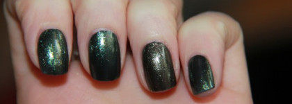 Красавчик Nubar Verde и его сестра близнец Zoya Edyta