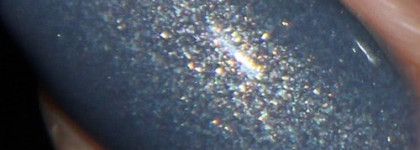 Братья Голландцы.  I Don't Give a Rotterdam! и I Have a Herring Problem. Селедка или Роттердам?