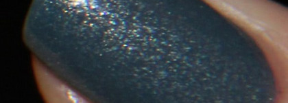 Братья Голландцы.  I Don't Give a Rotterdam! и I Have a Herring Problem. Селедка или Роттердам?