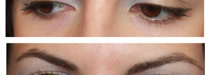 Опера про любимые тени Shiseido Luminizing Satin Eye Color Trio GD804 Опера