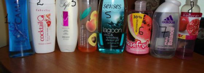 Мои бюджетные средства для душа