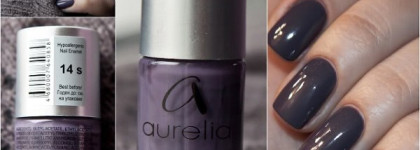 Осенний любимчик Aurelia Professional Shake №14 S