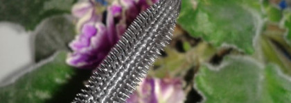 Маленький сюрприз в Allure - Тушь Sublime de Chanel black