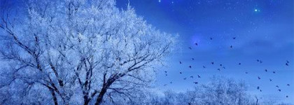 Зимняя сказка  by O.P.I (много фото)