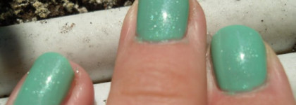 Мятный восторг Golden Rose 225