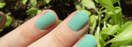 Мятный восторг Golden Rose 225