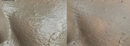 Грязевая маска для лица Rivage Facial Mud Mask