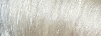 Идеальный комплект для ненатуральной блондинки