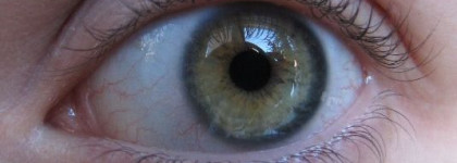 Benefit Badgal lash mascara