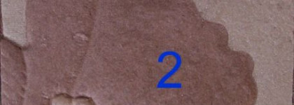 Мои любимчики из Clinique