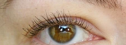 Dior Diorshow Iconic – Подкручивающая тушь для ресниц