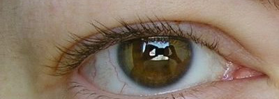 Lancome Effacernes Longue Tenue – Стойкий тональный корректор против темных кругов под глазами (тон 01)