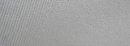 Shiseido Luminizing Satin Face Color – High Beam White WT905 (Дальний Свет) - must-have или милая игрушка?