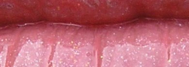 Guerlain Kiss Kiss Pearl Gloss – Жемчужный блеск для губ (№ 864  Rose Sunset) - спокойный розовый