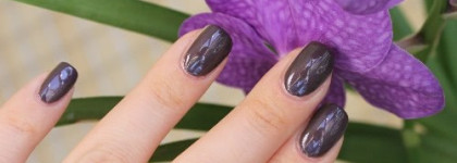 Лак для ногтей Max Factor Glossfinity (тон № 145 Noisette ) - клон Chanel le vernis nail color, тон 509 Paradoxal