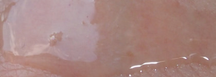 Limoni Антивозрастной тонер для лица со змеиным ядом Premium Syn-Ake Anti-Wrinkle Toner