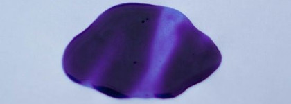 Только для блондинок: сравнение трех шампуней с антижелтым эффектом