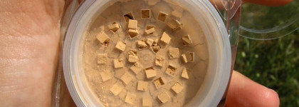 Dior Natural Glow Fresh Powder Makeup SPF 10 в оттенке 040, Honey Beige