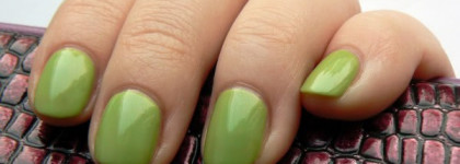 Ждем весну вместе с Golden Rose Paris #228