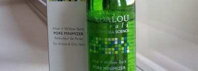 Andalou Naturals, Pore Minimizer, Aloe + Willow Bark