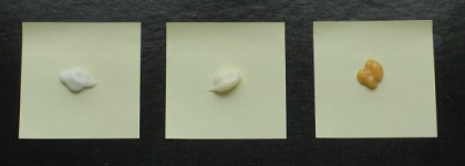 Тест-драйв бальзамов для волос