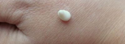 Основа основ