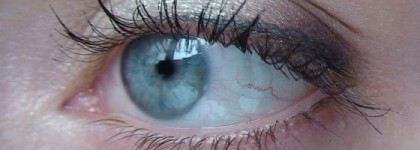 Shiseido Hydro-Powder Eye Shadow, оттенок Н13 роса клевера