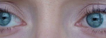 Lancome Ombre Absolue Palette A40 "chant de lavandes" - лаванда, горная лаванда