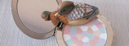 Voyage, voyage... моя скромная коллекция метеоритов-компактов