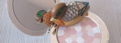 Voyage, voyage... моя скромная коллекция метеоритов-компактов