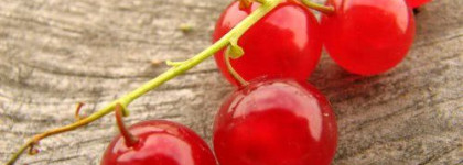 Готовимся к весне, или мой аромат февраля - Moschino "Funny"